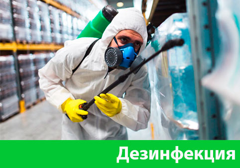 Дезинфекция в городе Тула