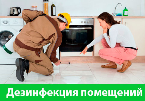 Дезинфекция офисов от коронавируса в городе Тула