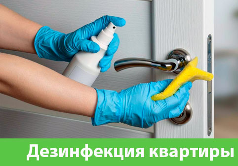 Дезинфекция квартиры в городе Тула