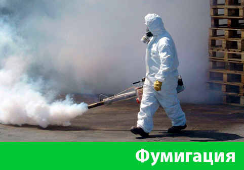 Фумигация в городе Тула