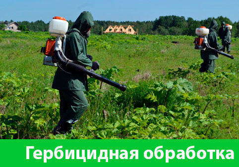 Гербицидная обработка в городе Тула