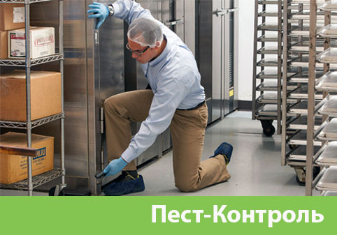 Пэст-Контроль в городе Тула