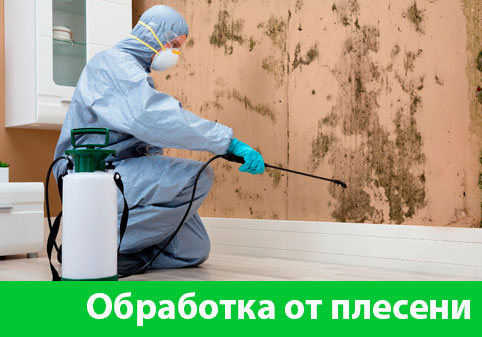 Обработка от плесени в городе Тула
