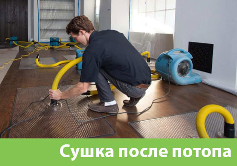 Сушка после потопа в городе Тула