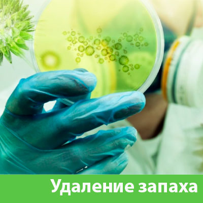 Удаление запахов в Туле