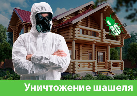 Уничтожение шашеля и личинок в Туле
